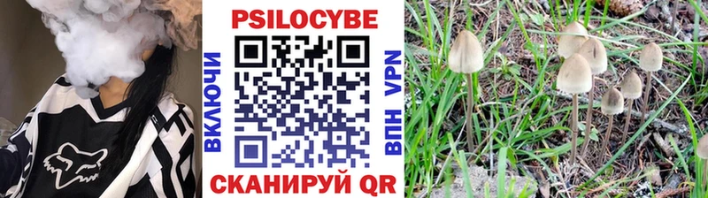 Галлюциногенные грибы MAGIC MUSHROOMS Фёдоровский